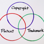 basic terms of a license